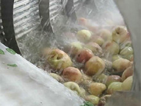 高壓氣泡清洗機(jī)(玉米類、果蔬類）